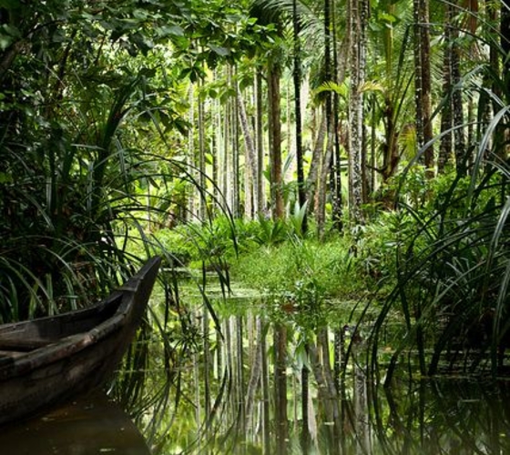 South India Holiday Packages