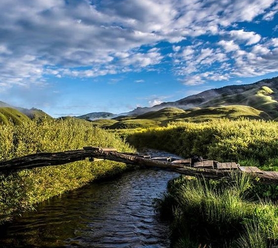 East India Holiday Packages